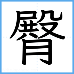 Japanese Kanji "臀" - Stroke Order Guide