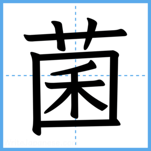 Japanese Kanji "菌" - Stroke Order Guide