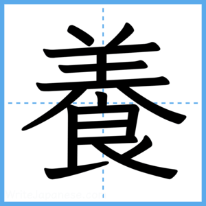 Japanese Kanji "養" - Stroke Order Guide
