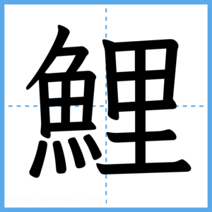Japanese Kanji "鯉" - Stroke Order Guide
