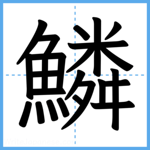 Japanese Kanji "鱗" - Stroke Order Guide