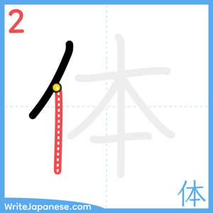 How to write "体" - stroke 2