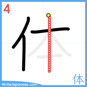 How to write "体" - stroke 4