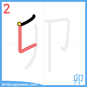 How to write "卯" - stroke 2