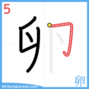 How to write "卵" - stroke 5