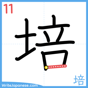 How to write "培" - stroke 11