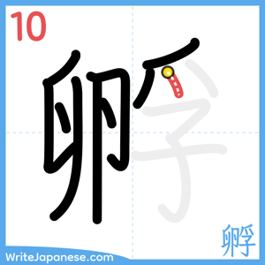 How to write "孵" - stroke 10