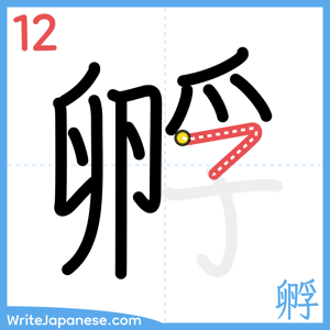 How to write "孵" - stroke 12