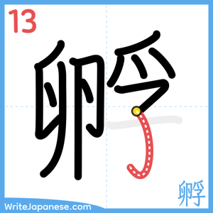 How to write "孵" - stroke 13