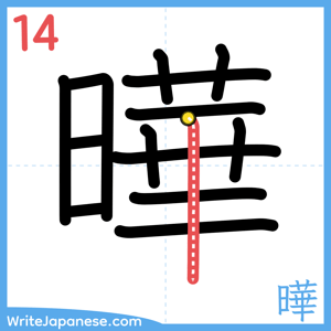 How to write "曄" - stroke 14