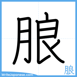 How to write "朖" - complete stroke order