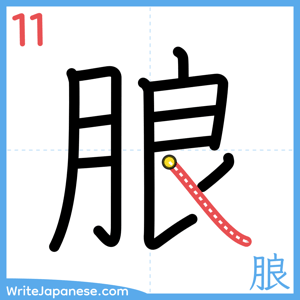 How to write "朖" - stroke 11