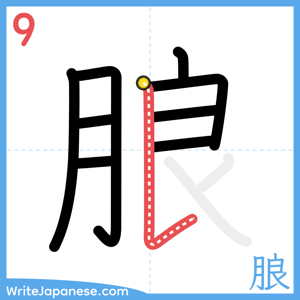 How to write "朖" - stroke 9