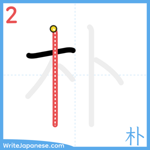 How to write "朴" - stroke 2