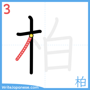 How to write "柏" - stroke 3