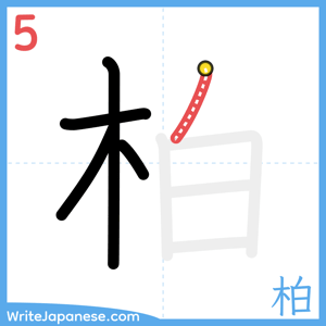 How to write "柏" - stroke 5