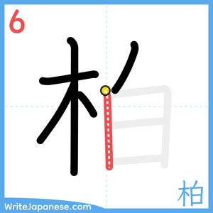 How to write "柏" - stroke 6