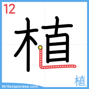 How to write "植" - stroke 12