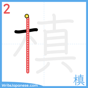 How to write "槙" - stroke 2