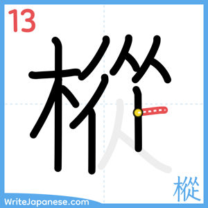 How to write "樅" - stroke 13