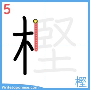 How to write "樫" - stroke 5