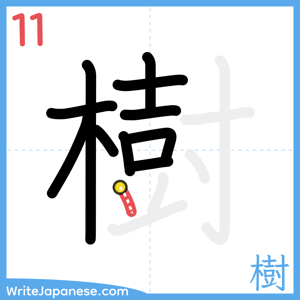 How to write "樹" - stroke 11