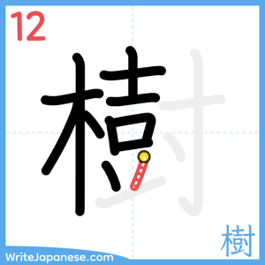 How to write "樹" - stroke 12