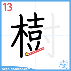 How to write "樹" - stroke 13