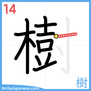 How to write "樹" - stroke 14