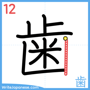 How to write "歯" - stroke 12