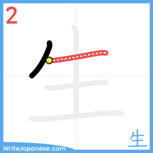How to write "生" - stroke 2