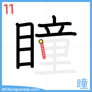How to write "瞳" - stroke 11