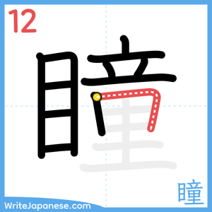 How to write "瞳" - stroke 12
