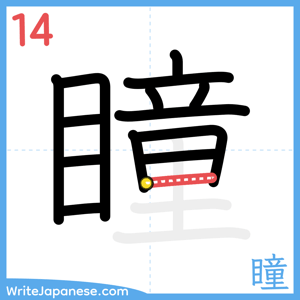 How to write "瞳" - stroke 14