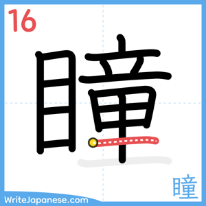 How to write "瞳" - stroke 16