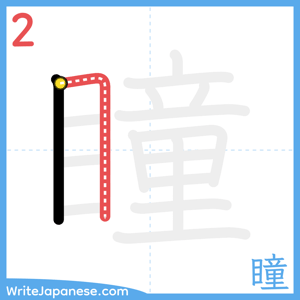 How to write "瞳" - stroke 2