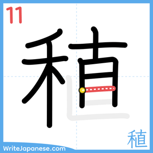 How to write "稙" - stroke 11