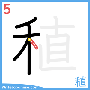 How to write "稙" - stroke 5