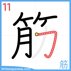 How to write "筋" - stroke 11