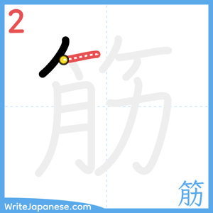How to write "筋" - stroke 2