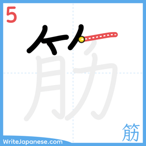 How to write "筋" - stroke 5