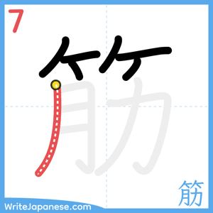 How to write "筋" - stroke 7