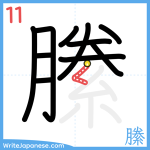How to write "縢" - stroke 11