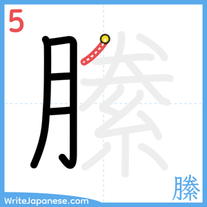 How to write "縢" - stroke 5