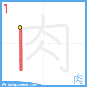 How to write "肉" - stroke 1