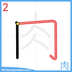 How to write "肉" - stroke 2