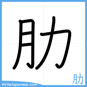 How to write "肋" - complete stroke order