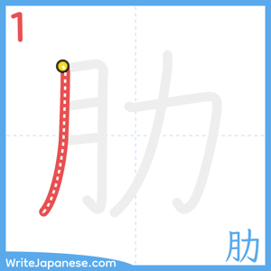 How to write "肋" - stroke 1