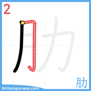 How to write "肋" - stroke 2