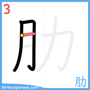 How to write "肋" - stroke 3